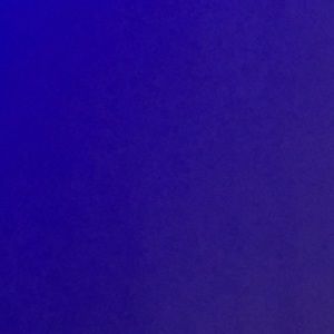 Meet your Posher, Ava